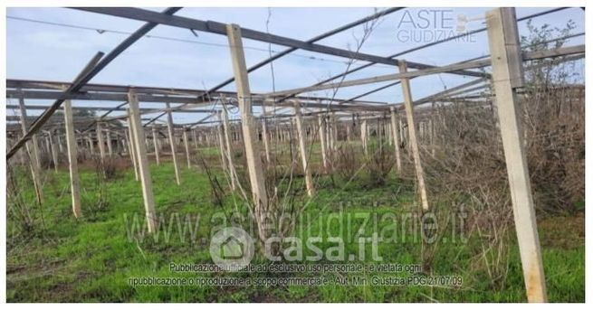 Terreno agricolo in commerciale in 