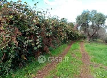 Terreno agricolo in commerciale in Via Enrico Fermi