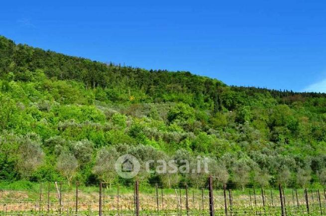 Terreno agricolo in commerciale in Via Brogliato