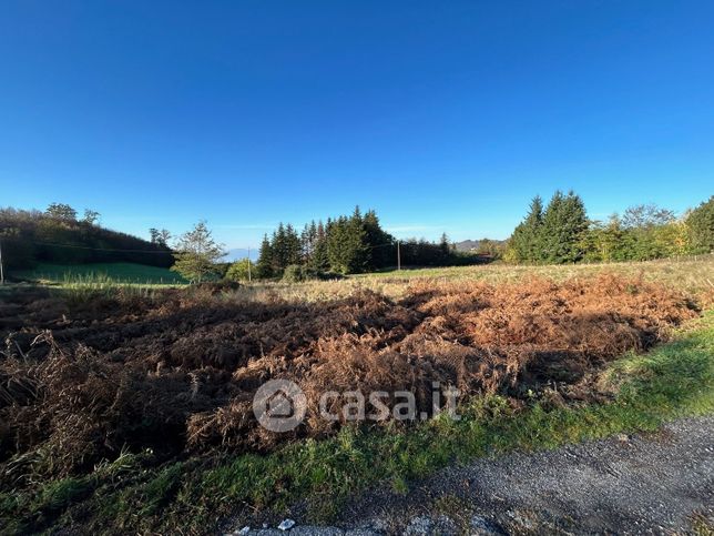 Terreno agricolo in commerciale in Strada Senza Nome 10113