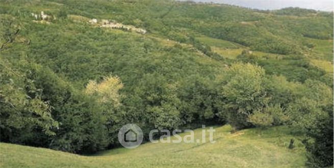 Terreno agricolo in commerciale in Via Verdella