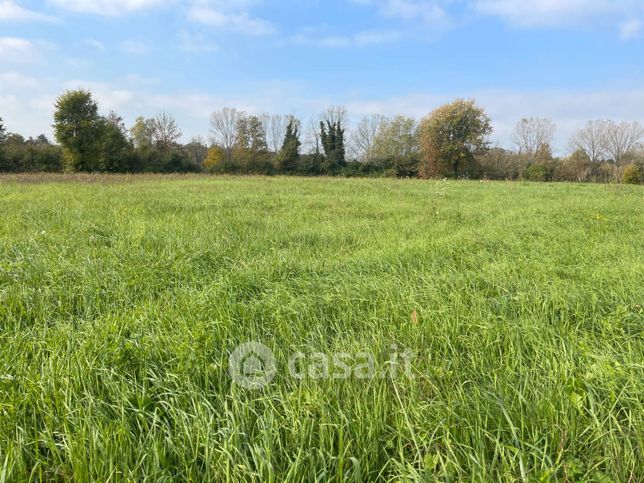 Terreno agricolo in commerciale in Via Sant'Elena 89