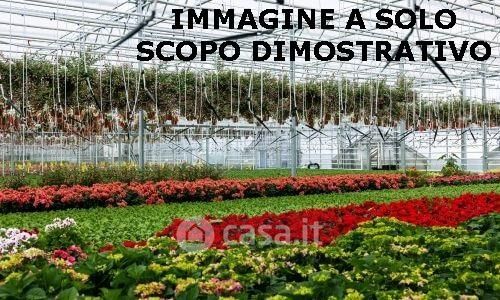 Terreno agricolo in commerciale in ASSO ATTREZZATO