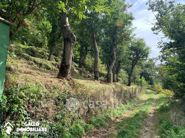 Terreno agricolo in commerciale in Via Favale