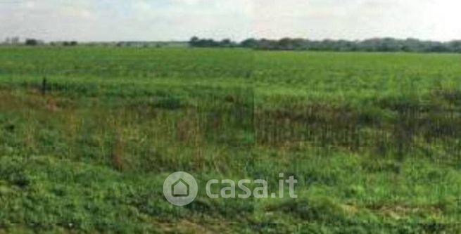 Terreno agricolo in commerciale in Contrada Santa Teresa