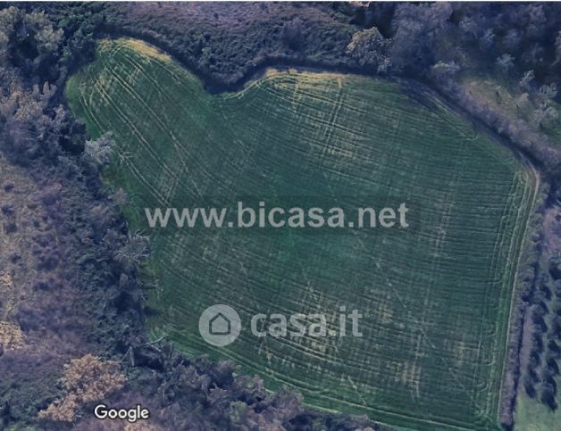 Terreno agricolo in commerciale in Strada della Rupola