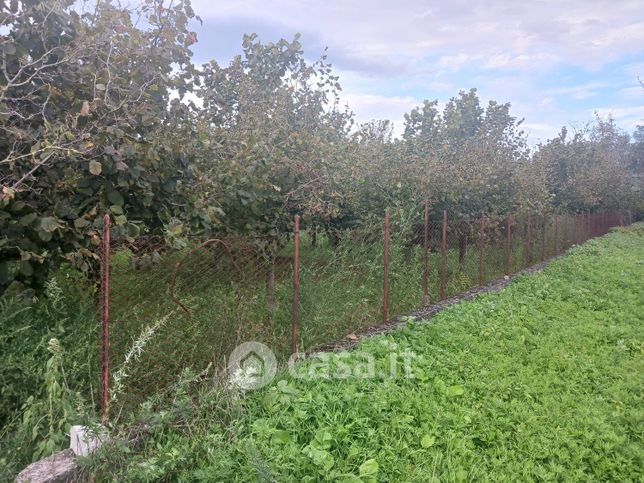 Terreno agricolo in commerciale in Via Nocelleto