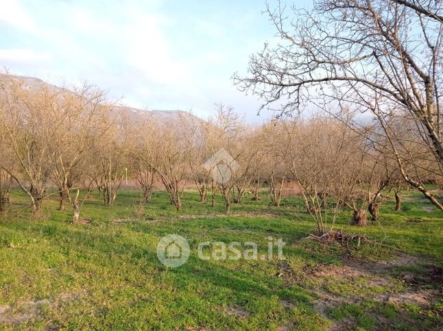 Terreno agricolo in commerciale in Via Schito 1