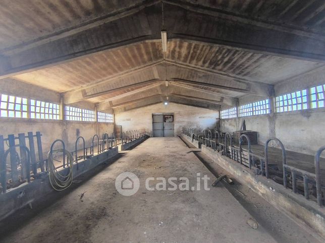 Capannone in commerciale in Via Mondovì
