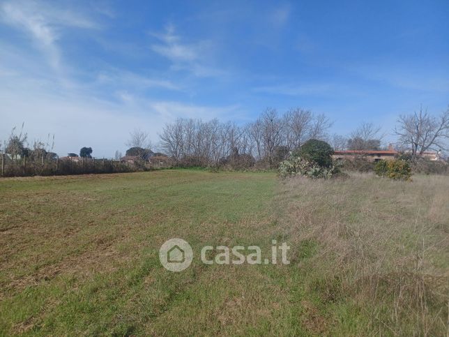 Terreno agricolo in commerciale in Via Campo Cerreto