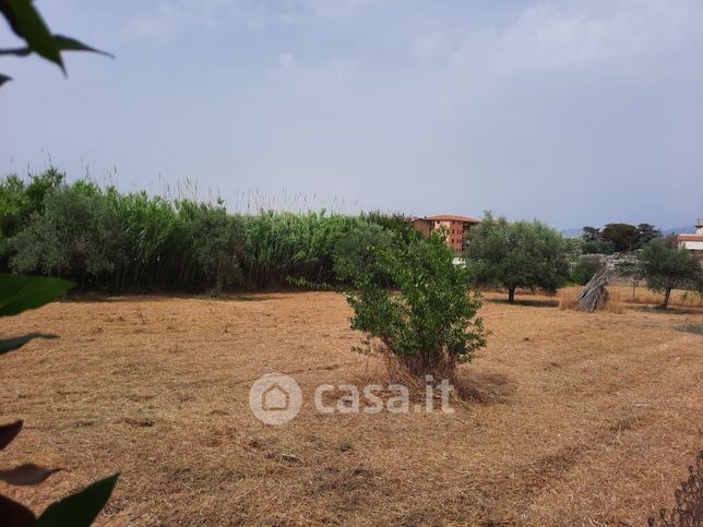 Terreno agricolo in commerciale in Via di Fontana Candida 95