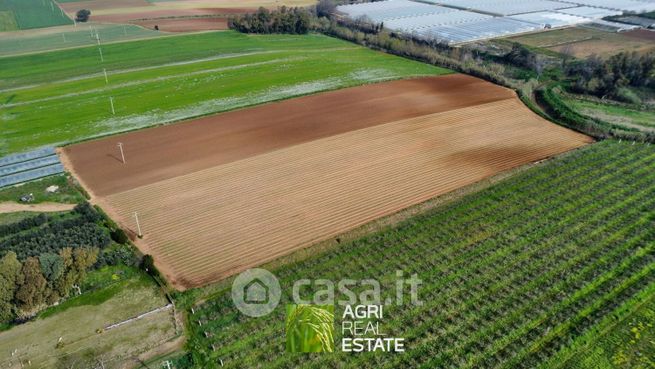 Terreno agricolo in commerciale in Strada Diversivo Nocchia 5661