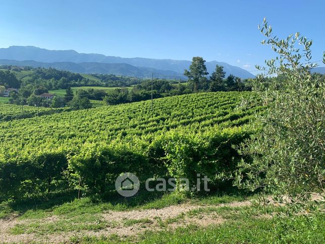 Terreno agricolo in commerciale in Via Mangesa