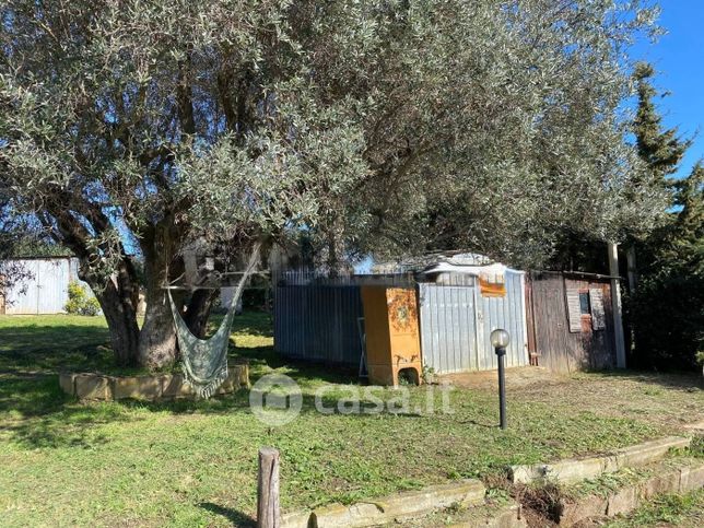 Terreno agricolo in commerciale in poggio all'olivo 18