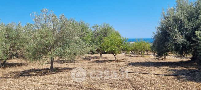 Terreno agricolo in commerciale in Contrada rociola