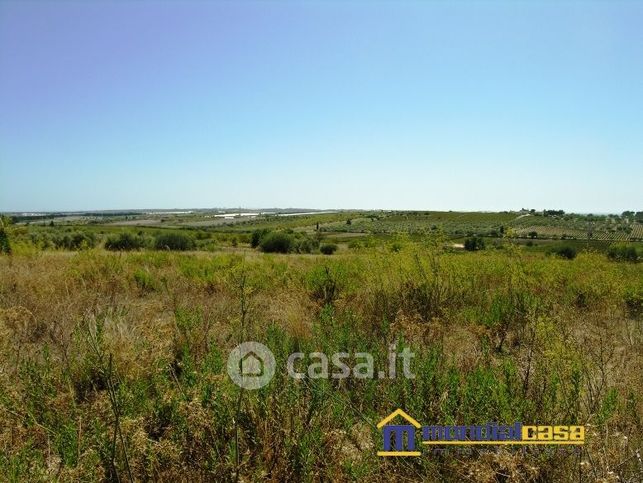 Terreno agricolo in commerciale in Strada senza nome