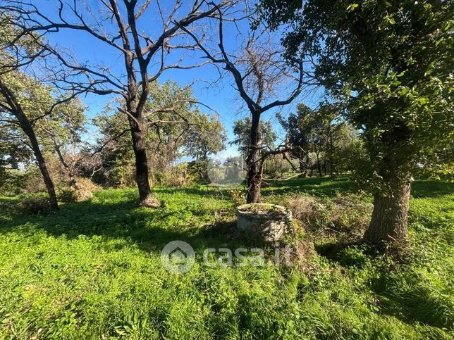 Terreno agricolo in commerciale in Via 2 Giugno 1