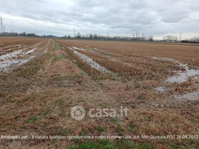 Terreno agricolo in commerciale in Via Marinino