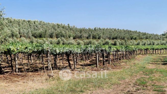 Terreno agricolo in commerciale in Via Fontana Parata