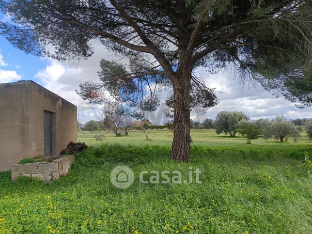 Terreno agricolo in commerciale in Corso P.pe Amedeo di Savoia 1