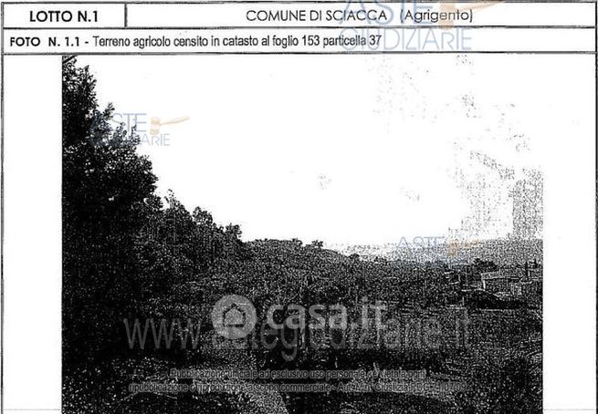 Terreno agricolo in commerciale in Contrada San Giorgio