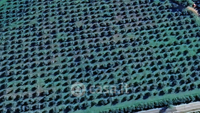 Terreno agricolo in commerciale in 