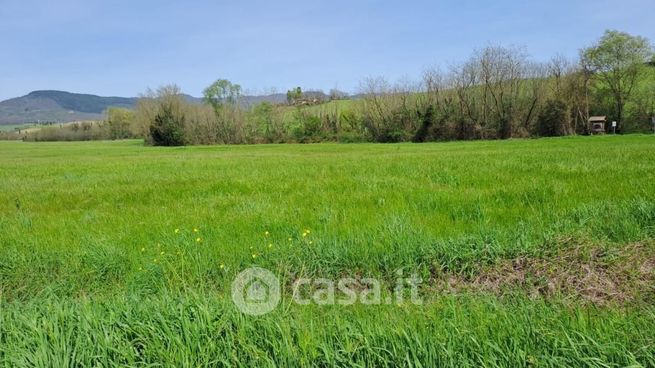 Terreno agricolo in commerciale in Via Francesca Sud