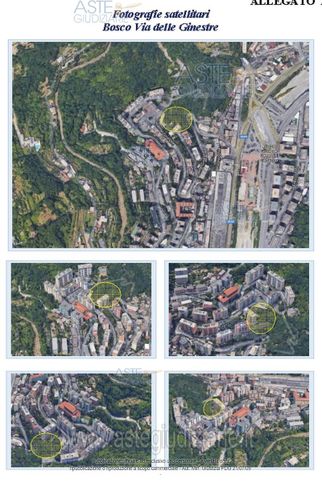 Terreno agricolo in commerciale in Via delle Ginestre