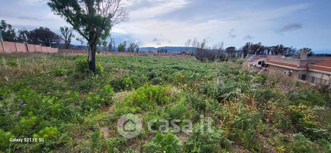 Terreno agricolo in commerciale in Sp 45 curcuraci