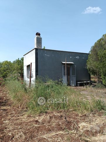 Terreno agricolo in commerciale in Strada Vicinale delle Quote Magnati