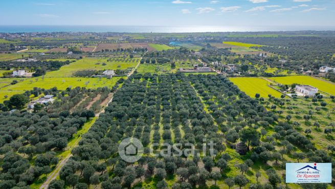 Terreno agricolo in commerciale in Strada Provinciale per Borraco