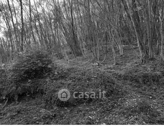 Terreno agricolo in commerciale in LocalitÃ  Moie