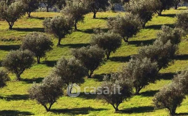 Terreno agricolo in commerciale in 