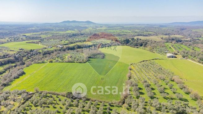 Terreno agricolo in commerciale in Via di Cellere