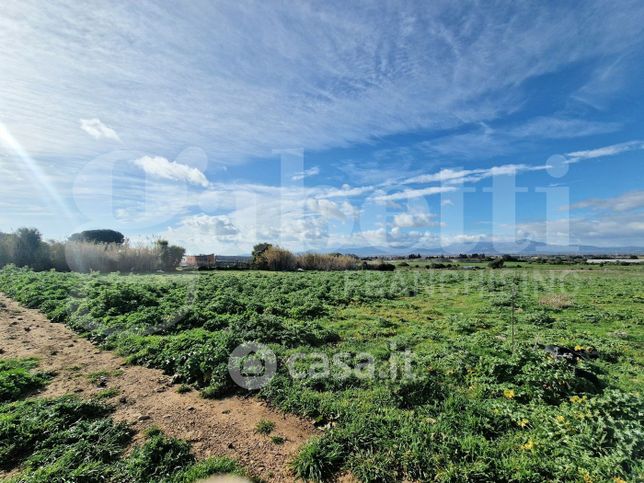 Terreno agricolo in commerciale in 