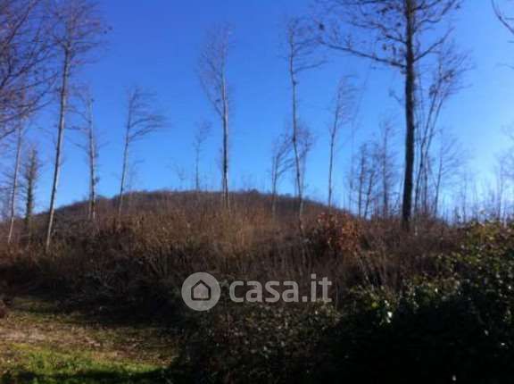 Terreno agricolo in commerciale in Via Madonna del Cacciatore