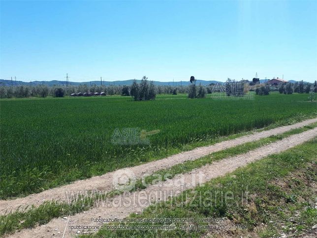 Terreno agricolo in commerciale in Via Dante Alighieri