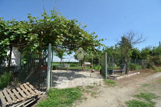 Terreno agricolo in commerciale in Frazione Mezzi Po 69