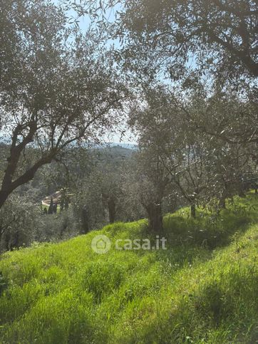 Terreno agricolo in commerciale in Via Selvaiana
