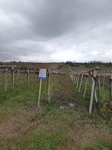 Terreno edificabile in residenziale in Contrada Cuna Re di Coppe 13