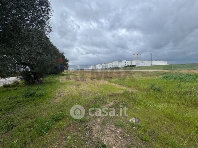 Terreno agricolo in commerciale in Via Alberto Sordi