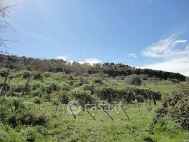 Terreno agricolo in commerciale in Strada Provinciale 78
