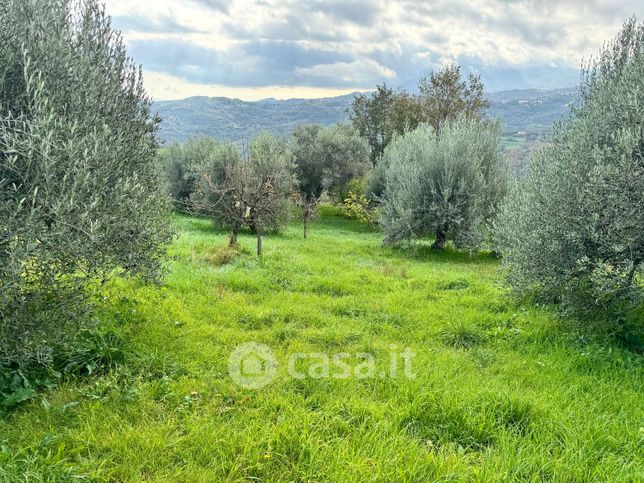 Terreno agricolo in commerciale in Strada Provinciale