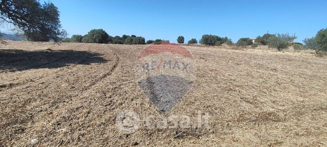 Terreno agricolo in commerciale in Contrada Soccorso