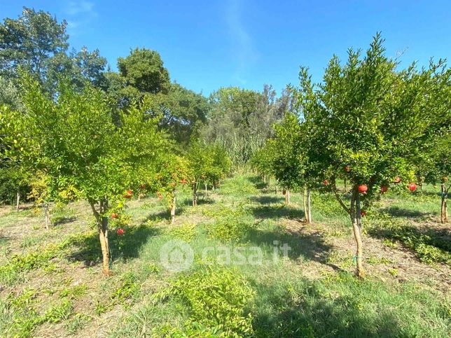 Terreno agricolo in commerciale in 