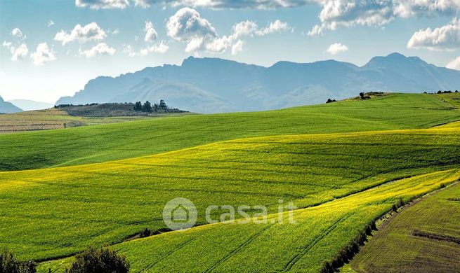 Terreno agricolo in commerciale in 