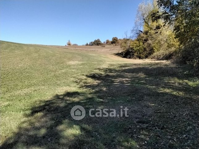 Terreno agricolo in commerciale in Via Braglia