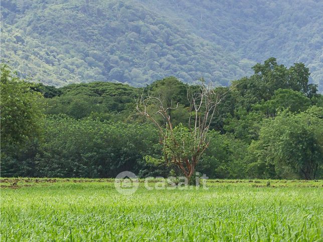 Terreno agricolo in commerciale in Via Sansone