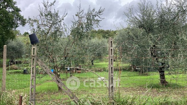 Terreno agricolo in commerciale in 