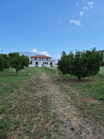 Terreno agricolo in commerciale in Via Masseria Chiavettieri